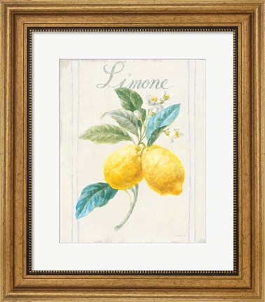 Framed Floursack Lemon III v2 Print