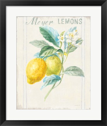 Framed Floursack Lemon II v2 Print