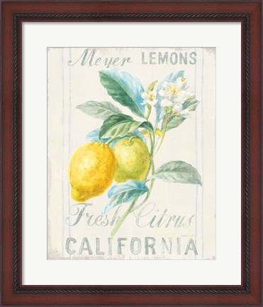 Framed Floursack Lemon II Print