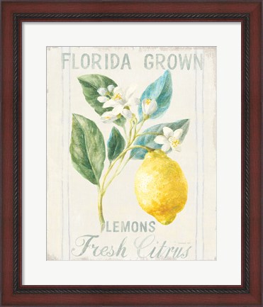 Framed Floursack Lemon I Print