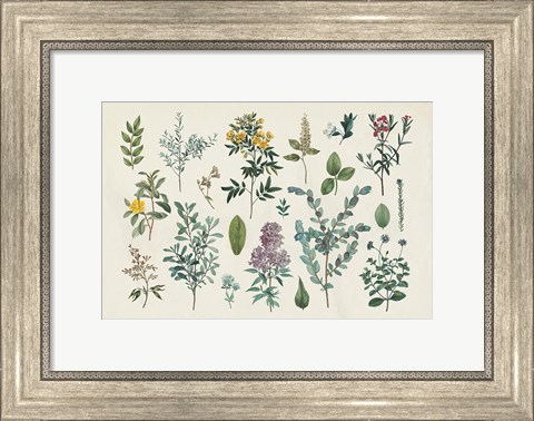 Framed Victorian Garden IV Print