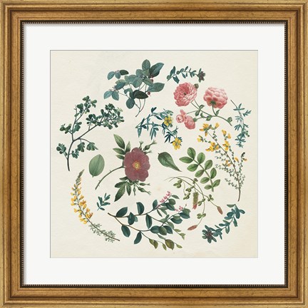 Framed Victorian Garden II Print