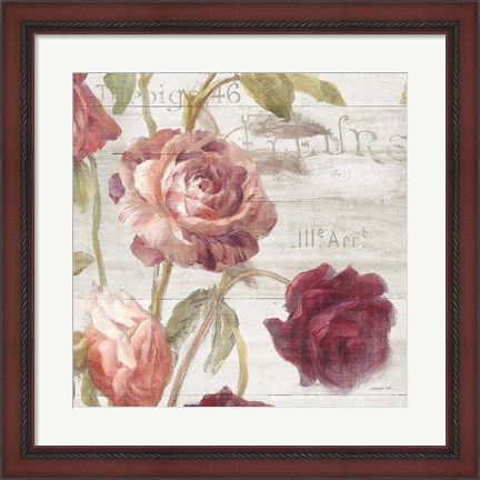 Framed French Roses IV Print