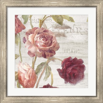 Framed French Roses IV Print