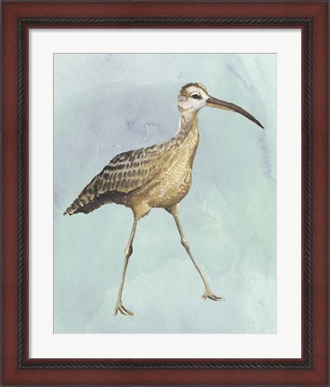 Framed Watercolor Beach Bird II Print