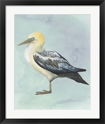 Framed Watercolor Beach Bird III Print