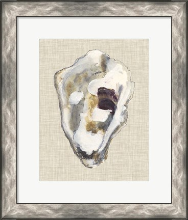 Framed Oyster Shell Study II Print