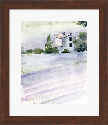 Framed Lavender Fields II Print