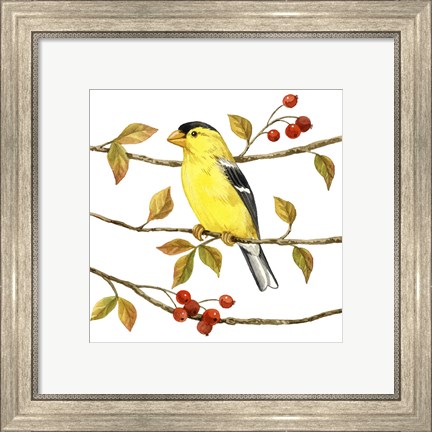 Framed Birds &amp; Berries II Print