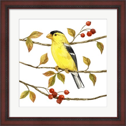 Framed Birds &amp; Berries II Print