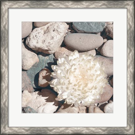 Framed Stone Crop II Print