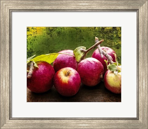 Framed Harvest I Print