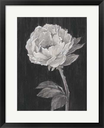 Framed Black and White Flowers II Print