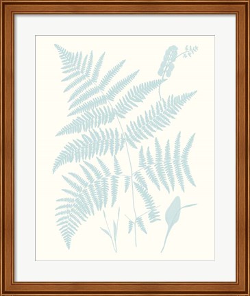 Framed Serene Ferns I Print