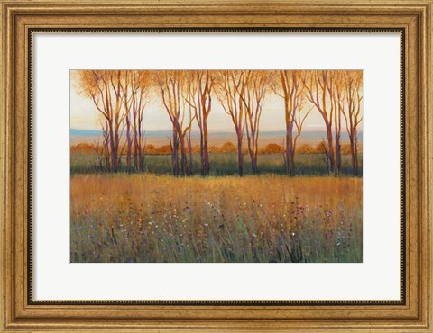 Framed Glow in the Afternoon II Print