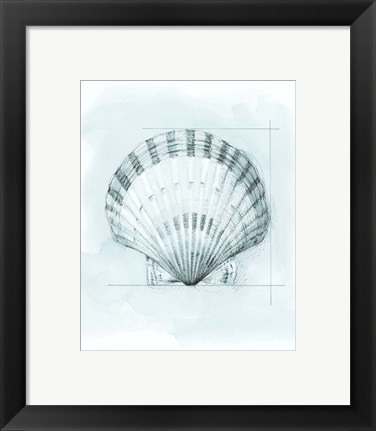 Framed Coastal Shell Schematic III Print