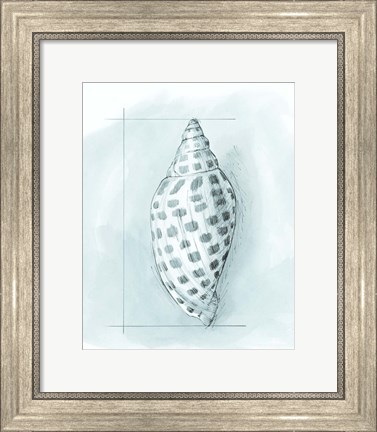 Framed Coastal Shell Schematic IV Print