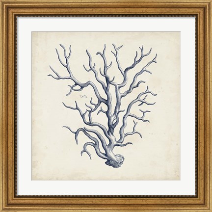 Framed Coral Trio in Indigo III Print