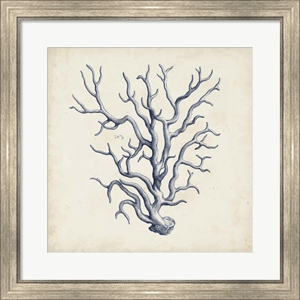 Framed Coral Trio in Indigo III Print