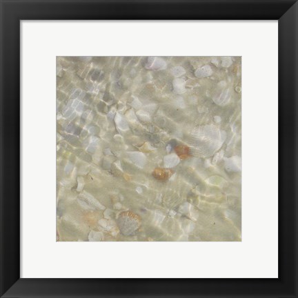 Framed Shell Squares II Print