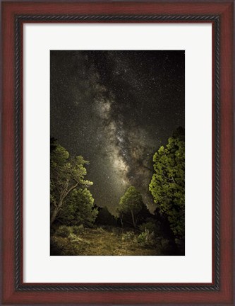 Framed Stargazer 4 Print