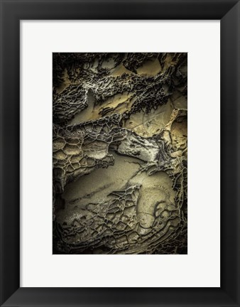 Framed Salt Point 5 Print