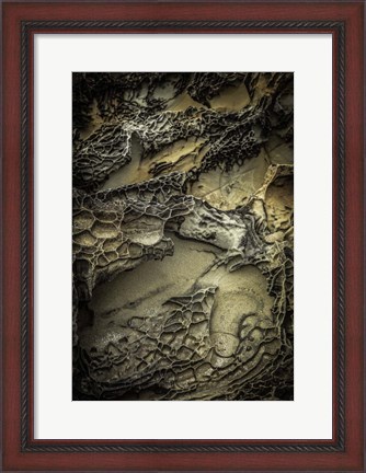 Framed Salt Point 5 Print