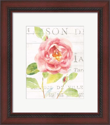 Framed Maison des Fleurs V Print