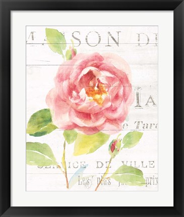 Framed Maison des Fleurs V Print