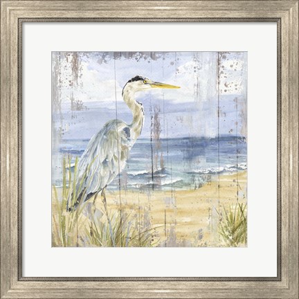 Framed Birds of the Coast Rustic I Print