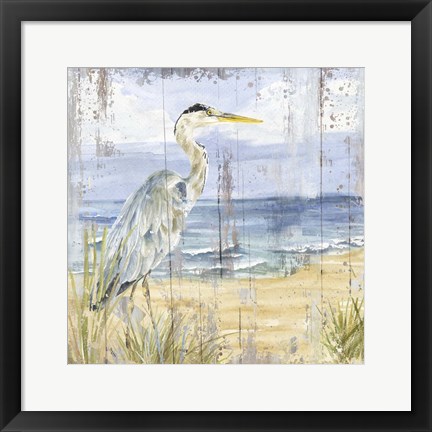 Framed Birds of the Coast Rustic I Print