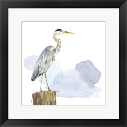 Framed Birds of the Coast on White I Print