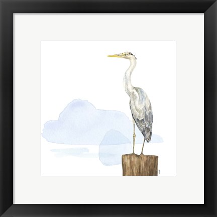 Framed Birds of the Coast on White II Print