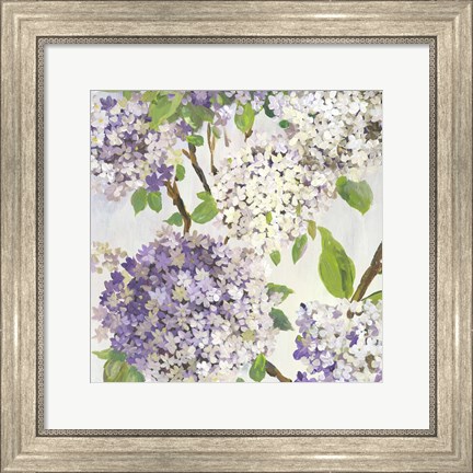 Framed Summer Hydrangea I Print