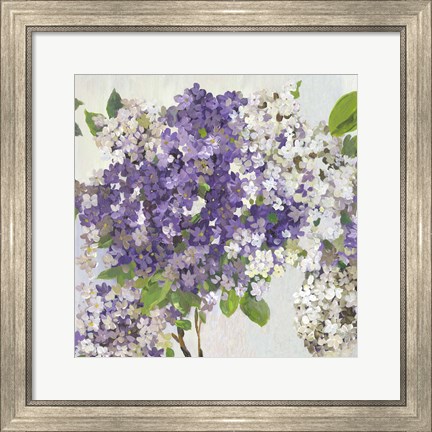 Framed Summer Hydrangea II Print