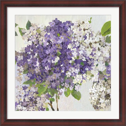 Framed Summer Hydrangea II Print