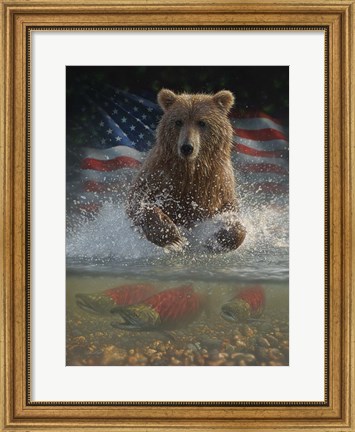 Framed Brown Bear Fishing America Print