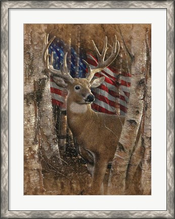 Framed Whitetail Buck America Print