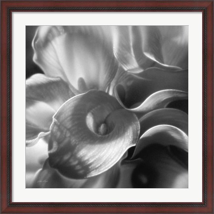 Framed Calla Lillie Bouquet Print