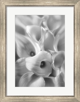 Framed Calla Lilies Print