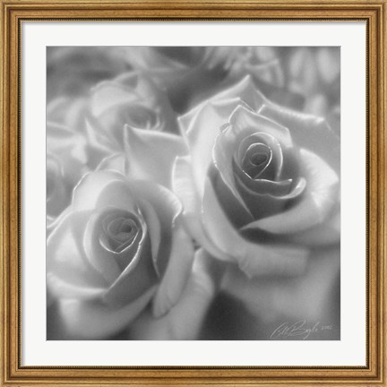 Framed Rose Pair B&amp;W Print