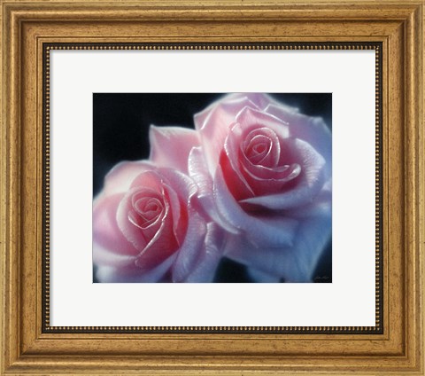 Framed Roses - Pink Pair Print