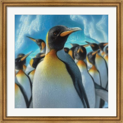 Framed Penguin Paradise - Square Print