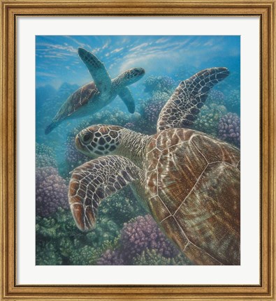 Framed Sea Turtles - Turtle Bay Print