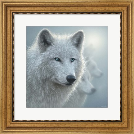 Framed Arctic Wolves - Whiteout Print