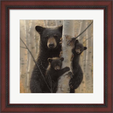 Framed Black Bear Mother and Cubs - Mama Bear Print