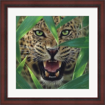 Framed Jaguar - Ambush Print