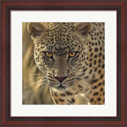 Framed Leopard - On the Prowl - Square Print