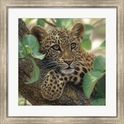 Framed Leopard Cub - Tree Hugger Print