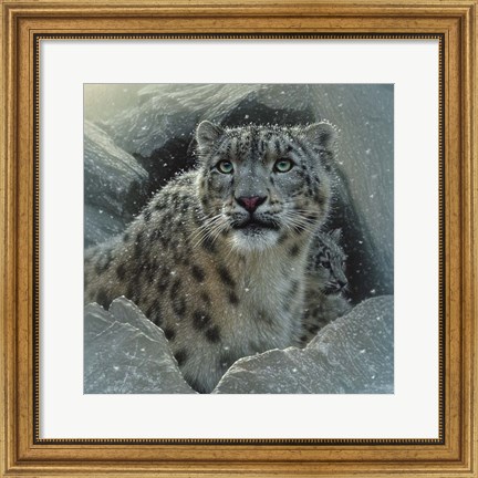 Framed Snow Leopard - The Fortress Print